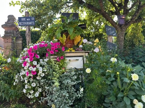 Rémelfing Création d'un nouveau jardin "Cuisine d'été"