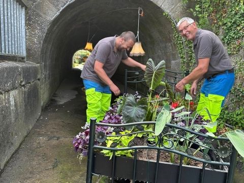 Rémelfing Aménagement du jardin " Insomnie"