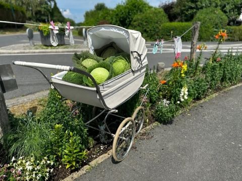 Rémelfing Les Jardins Heureux