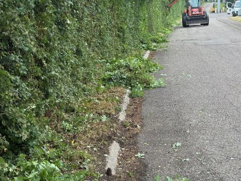 Rémelfing Travaux d'élagage- impasse du Chemin de Fer et rue de la Paix