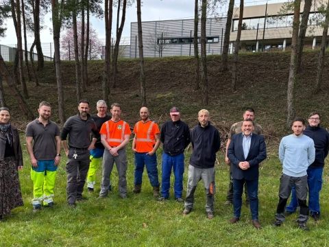 Rémelfing Travaux d'élagage autour du stade d'honneur