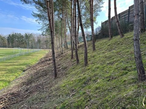 Rémelfing Travaux d'élagage autour du stade d'honneur