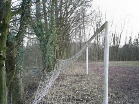 Rémelfing ELAGAGE RUE DU STADE ET ANCIEN TERRAIN DE FOOT (Février 2012)