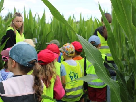 Rémelfing Périscolaire