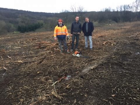 " Les Hauts de Sarre" Travaux de défrichage des terrains Rémelfing