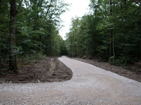 Créationd'un nouveau chemin d'exploitation forestière dans la forêt du Grand Freiwald