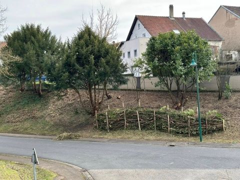 Élagage rue de la Paix et création d' un nouveau "Jardin refuge" Rémelfing