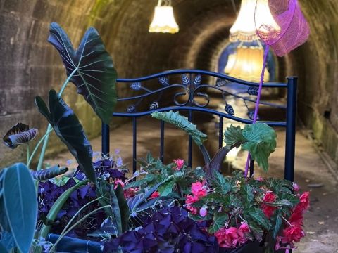 Aménagement du jardin " Insomnie" Rémelfing